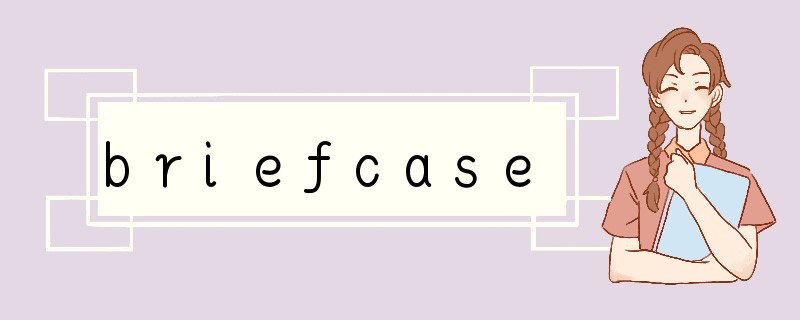 briefcase