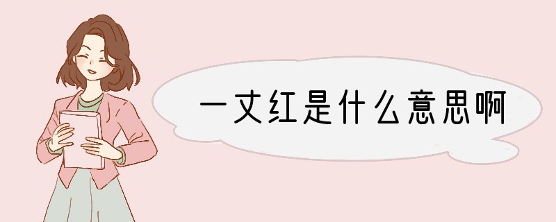 一丈红是什么意思啊