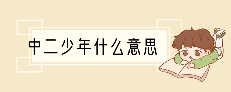 中二少年什么意思