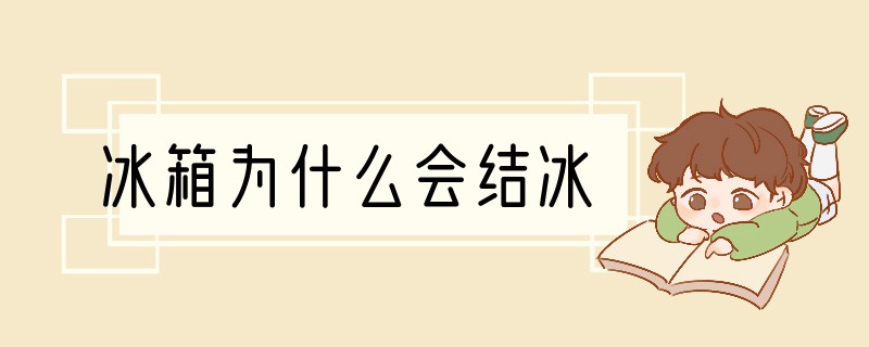 冰箱为什么会结冰