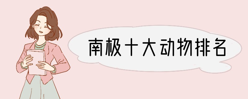 南极十大动物排名