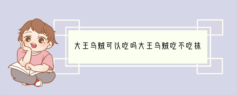 大王乌贼可以吃吗?大王乌贼吃不吃抹香鲸?