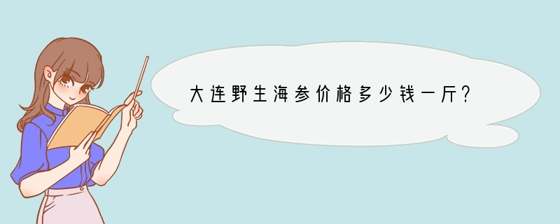 大连野生海参价格多少钱一斤？