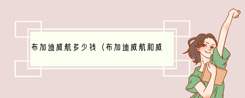 布加迪威航多少钱（布加迪威航和威龙谁贵）