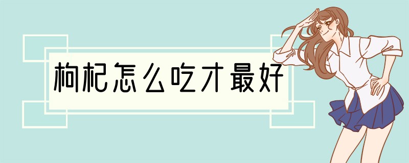 枸杞怎么吃才最好