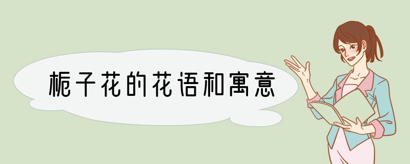 栀子花的花语和寓意