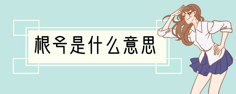 根号是什么意思