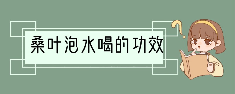 桑叶泡水喝的功效