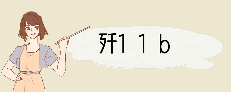 歼11b