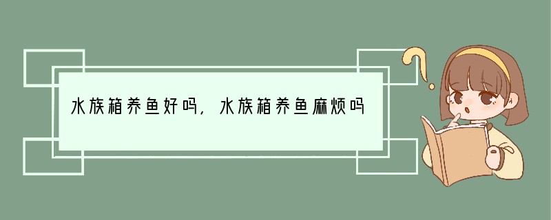 水族箱养鱼好吗,水族箱养鱼麻烦吗