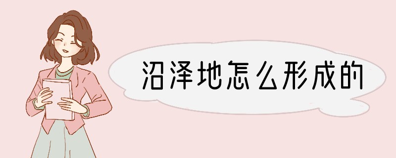 沼泽地怎么形成的