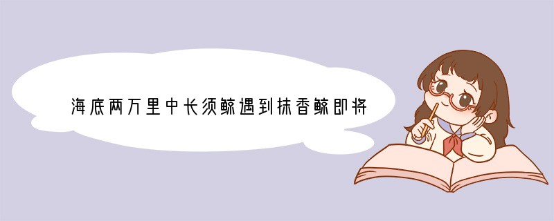 海底两万里中长须鲸遇到抹香鲸即将开始一场战争你如何看待这场战斗？