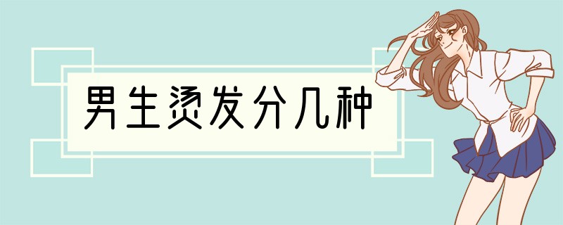男生烫发分几种