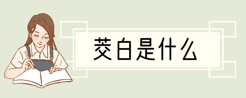 茭白是什么