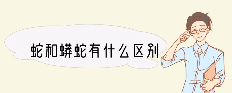 蛇和蟒蛇有什么区别