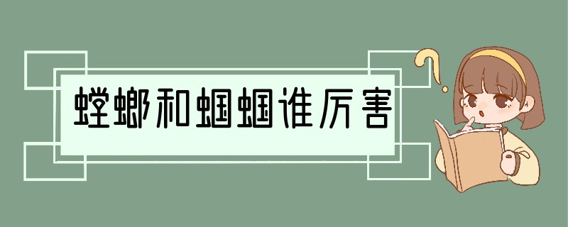 螳螂和蝈蝈谁厉害