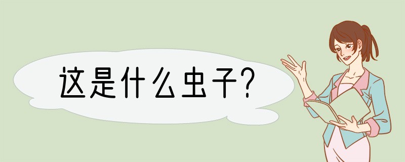 这是什么虫子？