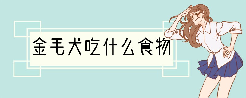 金毛犬吃什么食物