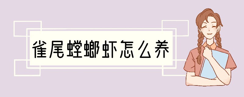 雀尾螳螂虾怎么养