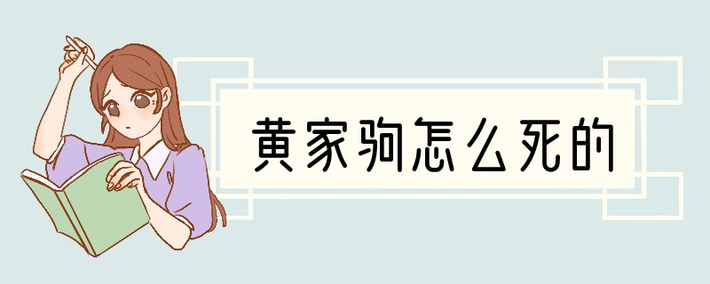 黄家驹怎么死的